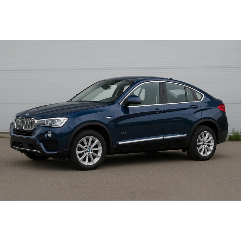 Молдинг дверний (4 шт, нерж) для BMW X4 F-26 2014-2018 рр