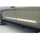 Молдини на двері (4 шт, нерж) для Nissan Navara/NP300 2016- рр Молдини на двері (4 шт, нерж) для Nissan Navara/NP300 2016- рр