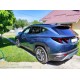 Молдинг дверний (4 шт, нерж) для Hyundai Tucson NX4 2021- рр