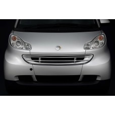Передняя защита решетка для Smart 2007-2014 рр