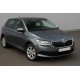 Накладки на зеркала с вырезом под поворотник (2 шт, нержавейка) для Skoda Fabia 2014-2021 гг