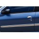 Молдинг дверний (4 шт, нерж) для Peugeot 206 1998-2024 рр