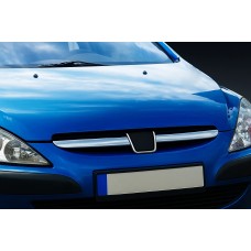 Накладки на решітку (2001-2005, 2 шт, нерж) для Peugeot 307 рр