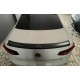 Спойлер Sedan (EuroCap, ABS) для Volkswagen Passat B8 2015-2023 рр