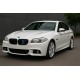 Вставки в решітку 2010-2013 (3 шт) для BMW 5 серія F-10/11/07 рр