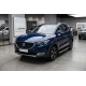 Боковые Подножки Fullmond (2 шт., Алюминий) для MG ZS 2017-2024 гг
