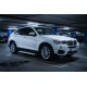 Боковые Подножки Shining V1 (2 шт., Алюминий) для BMW X4 F26 2014-2018 гг