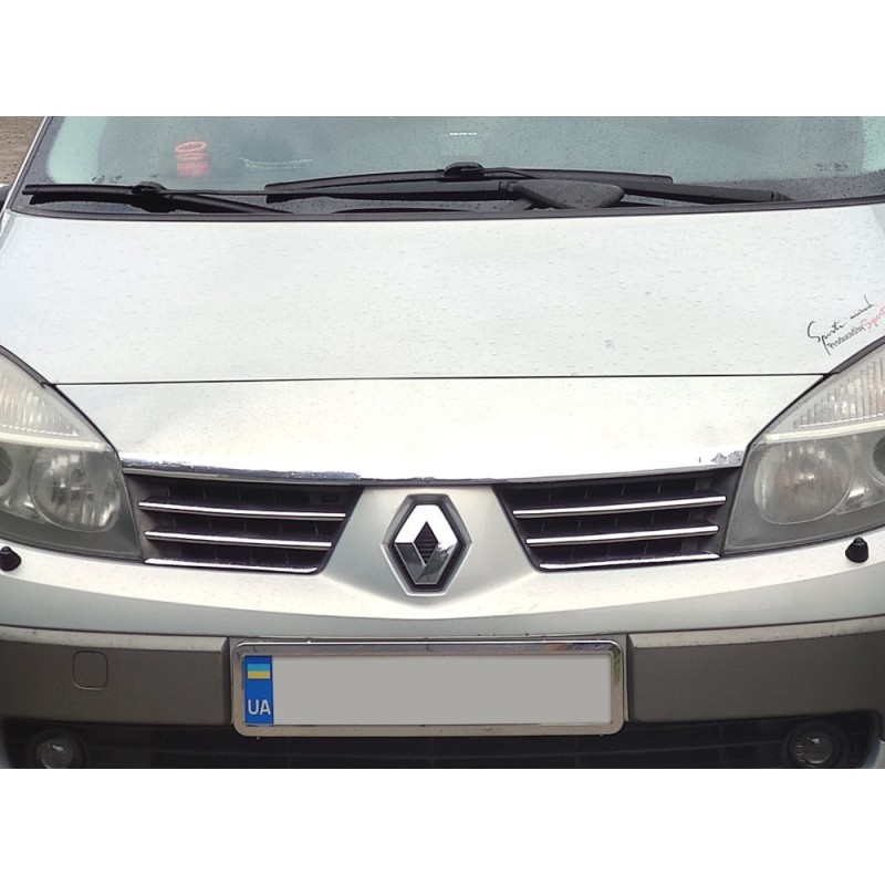 Накладки на решетку (4 шт, нерж) для Renault Scenic/Grand 2003-2009 гг