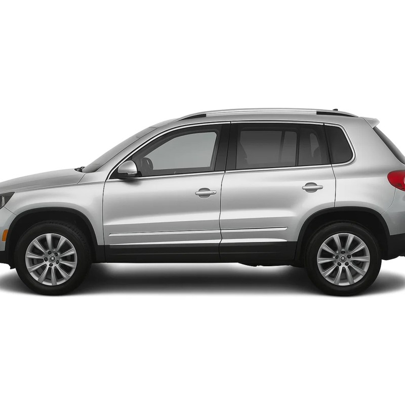 Молдини на двері (4 шт, нерж) для Volkswagen Tiguan 2007-2016 рр