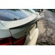 Спойлер DPT (Черный Глянец) для BMW X6 E71 2008-2014 гг