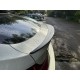 Спойлер DPT (черный глянец) для BMW X6 E-71 2008-2014 гг