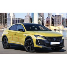 Молдини на двері (4 шт, нерж) для Peugeot 408 2022- рр