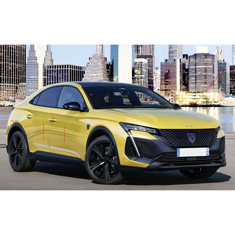 Молдинги на двери Нержавеющая сталь (4 шт) для Peugeot 408 2022- гг