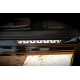 Накладки на пороги (Dotline, 4 шт., нерж) для Volkswagen Passat B6 2006-2012рр