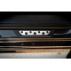 Накладки на пороги (Dotline, 4 шт., нерж) для Volkswagen Passat B6 2006-2012рр
