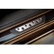 Накладки на пороги (Dotline, 4 шт., нерж) для Volkswagen Passat B6 2006-2012рр