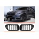Ноздри M-Look (2017-2020, черный глянец) для BMW 5 серия G30/31