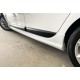 Бокові пороги DPT (Під фарбування) для Renault Fluence 2009-2016 рр