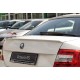 Спойлер DPT V-1 (Під фарбування) для Skoda Octavia III A7 2013-2019рр
