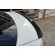 Спойлер DPT V-2 (2015-2019, Під фарбування) для Skoda Superb рр