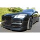 Ноздри 1 Bar (черный глянец) для BMW 7 серия F01/F02