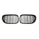 Ноздри 1 Bar (черный глянец) для BMW 7 серия F01/F02