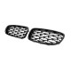 Низдрые Diamond Black (черный глянец) для BMW 5 серия F-10/11/07 2010-2016 гг