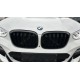 Ноздри M-Look (Черный глянец) для BMW X3 G01 2018- гг