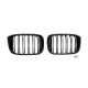 Ноздри M-Look (Черный глянец) для BMW X3 G01 2018- гг