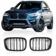 Ноздри M-Look (черный глянец) для BMW X4 G02 2018- гг