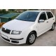 Накладки на Зеркала 2006-2026 (2 шт, Нержавейка) для Skoda Fabia