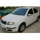 Накладки на дзеркала 2006-2025 (2 шт, нерж.) для Skoda Fabia рр Накладки на дзеркала 2006-2025 (2 шт, нерж.) для Skoda Fabia рр