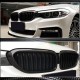 Ноздри M-Look V1 (2017-2020, Карбон) для BMW 5 серия G30/31