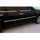 Зовнішня окантовка стекол (4 шт, нерж) SW - універсал для Volkswagen Bora 1998-2004 рр Зовнішня окантовка стекол (4 шт, нерж) SW - універсал для Volkswagen Bora 1998-2004 рр