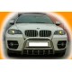 Кенгурятник WT003 (нерж.) 60мм для BMW X6 E71 2008-2014 рр