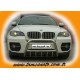 Кенгурятник WT003 (нерж.) 60мм для BMW X6 E-71 2008-2014 рр