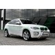 Кенгурятник WT003 (нерж.) 60мм для BMW X6 E-71 2008-2014 рр