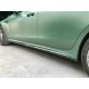 Комплект обвесов BRB Carbon V1 (2018-2022. Для GT53) для Mercedes AMG GT 4 X290