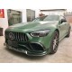 Комплект обвесов BRB Carbon V1 (2018-2022. Для GT53) для Mercedes AMG GT 4 X290