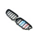 Ноздри M-Look (M-Color) для BMW 2 серия F22/23 2014-2021 гг