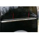 Молдинг на рейку зсувної дверки (2 шт, нерж) для Ford Connect 2010-2013 рр