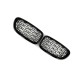 Ноздри Diamond Silver для BMW 5 серия F-10/11/07 2010-2016 гг