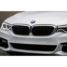 Ноздри Diamond Black V1 (2017-2020, хромированная окантовка) для BMW 5 серия G30/G31 2017–2023 гг