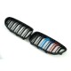 Ноздри M-Look (M-Color) для BMW 6 F12/F13/F06 2011-2018 гг