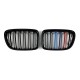 Ноздри M-Look (M-Color) для BMW X1 E-84 2009-2015 гг