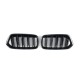 Ноздри M-Look (черный глянец) для BMW X2 F39 2018-2023 гг
