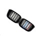Ноздри M-Look (2018-2021, M-Color) для BMW X3 G01 2018- гг