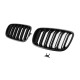 Ноздри M-Look (черный матовый) для BMW X5 E70 2007-2013 гг