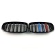 Ноздри M-Look (M-Color) для BMW X5 E-70 2007-2013 гг