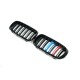 Ноздри M-Look (M-Color) для BMW X5 F-15 2013-2018 гг